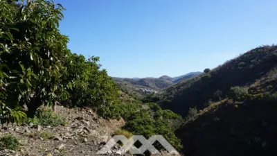 Rustic Finca in Viñuela photo 15
