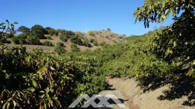 Rustic Finca in Viñuela photo 6