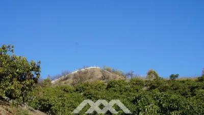 Rustic Finca in Viñuela photo 7