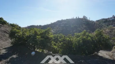 Rustic Finca in Viñuela photo 8