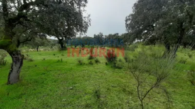 Rustic farm in Millanes photo 10