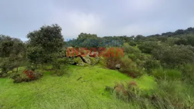 Finca rústica en venta en Millanes - Vista 4