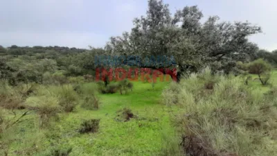 Finca rústica en venta en Millanes - Vista 5
