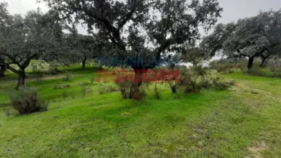Finca rústica en venta en Millanes - Vista 6