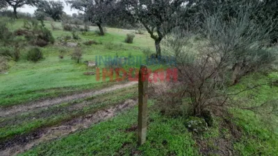 Finca rústica en venta en Millanes - Más