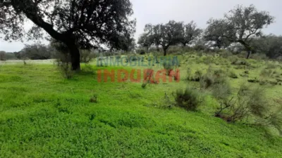 Rustic farm in Millanes photo 6