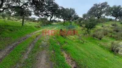 Rustic farm in Millanes photo 7