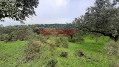 Rustic farm in Millanes photo 8