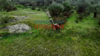 Rustic farm in Millanes photo 9