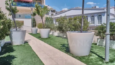 Apartment in Cala Manzanera photo 21