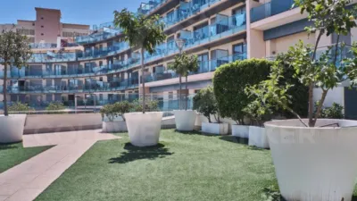 Apartment in Cala Manzanera photo 26
