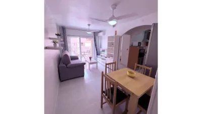 Apartment in Bahia photo 7
