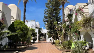 Apartment in Las Marinas-Bolaga photo 28