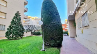 Apartment on Passeig Marítim de Sant Joan de Déu, 218 photo 41