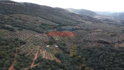 Rustic Finca in Castañar de Ibor photo 14
