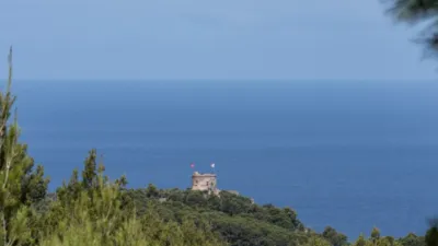 Rustic house in Sóller photo 2