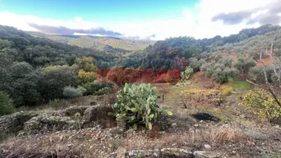 Rustic Finca in Castañar de Ibor photo 12