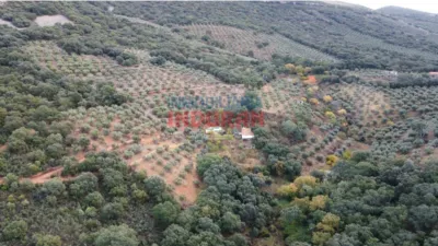 Rustic Finca in Castañar de Ibor photo 13