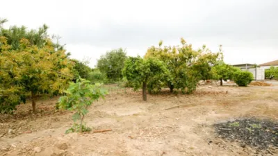 Rustic Finca in Centro photo 8