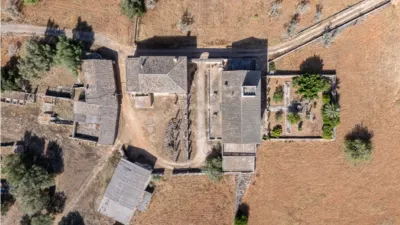 Rustic house in Algaida photo 17
