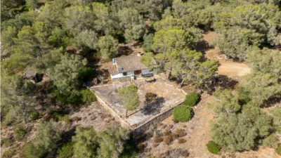 Rustic house in Algaida photo 18