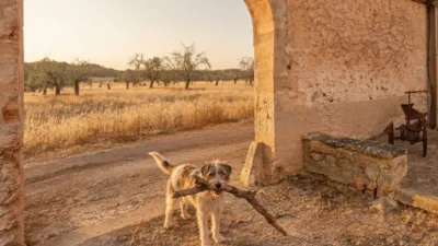 Rustic house in Algaida photo 2