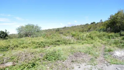 Rustic farm in El Tanque photo 13