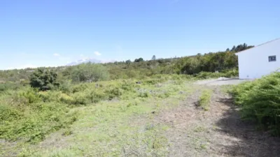 Rustic farm in El Tanque photo 14