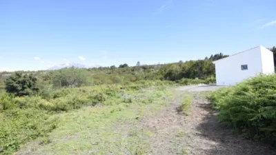 Rustic farm in El Tanque photo 7