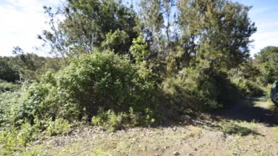 Rustic farm in El Tanque photo 17