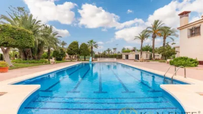 Casa – Elx - Elche - Vista 3