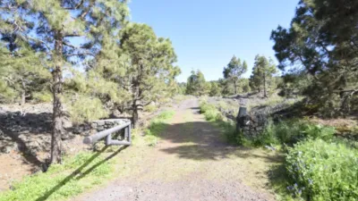 Rustic farm in El Tanque photo 20