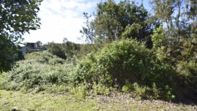 Rustic farm in El Tanque photo 15