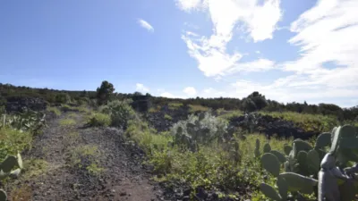 Rustic farm in El Tanque photo 16