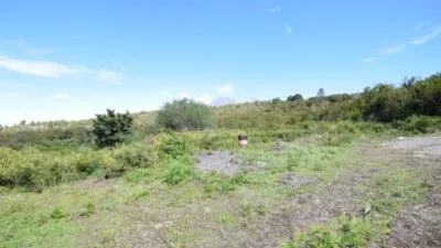 Rustic farm in El Tanque photo 11