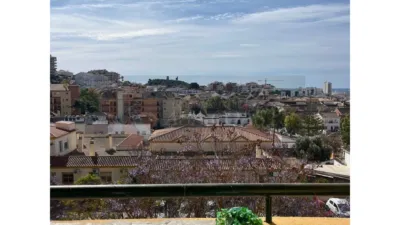 Apartment in Los Pacos photo 2