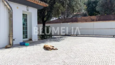 Villa in El Montgó photo 4