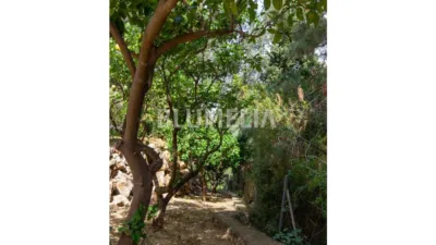 Villa in El Montgó photo 65