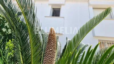House in Les Marines photo 50