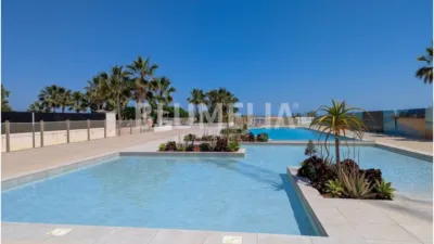 Penthouse in Les Marines photo 22