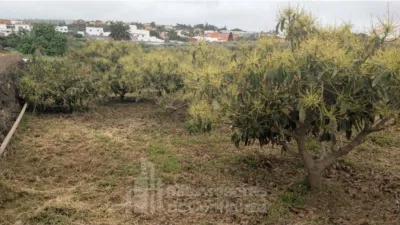 Rustic Finca in El Sauzal photo 9