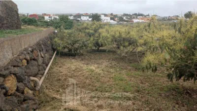 Rustic Finca in El Sauzal photo 12