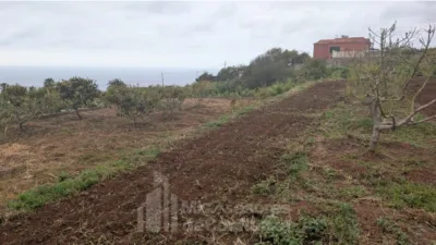 Rustic Finca in El Sauzal photo 4