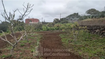 Rustic Finca in El Sauzal photo 8