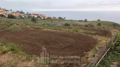 Rustic Finca in El Sauzal photo 5