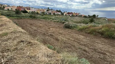 Rustic Finca in El Sauzal photo 3