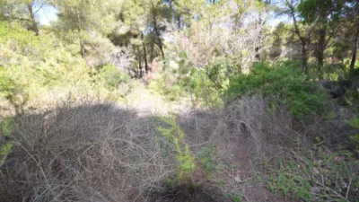 Terreno en venta en los Cerezos-La Mandarina-La Finca-Covatelles - Vista 4