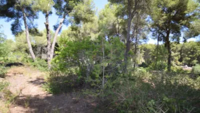 Terreno en venta en los Cerezos-La Mandarina-La Finca-Covatelles - Vista 2