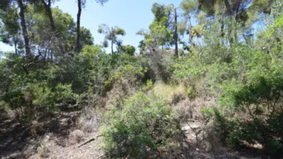 Terreno en venta en los Cerezos-La Mandarina-La Finca-Covatelles - Más