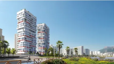 Apartment in Playa del Arenal Bol-Playa del Cantal Roig photo 14